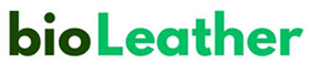Internship partner logo