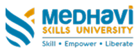 Medhavi Skills University